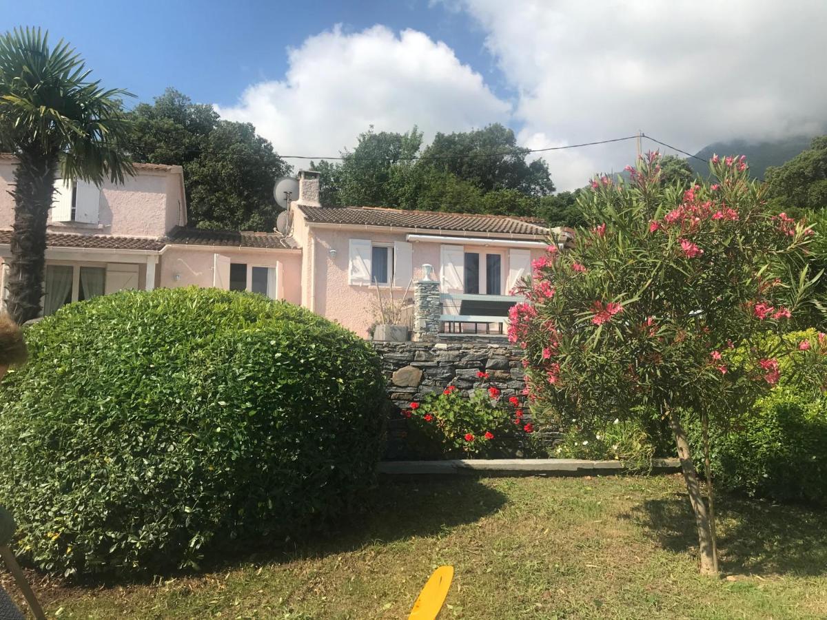 Santa-Maria-Poggio  Chambre Hotes Carpe Diem מראה חיצוני תמונה